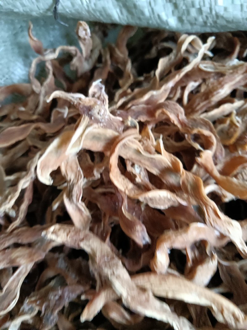 陕西，洋县干四季豆，味道纯正，口感筋道，颜色筋黄