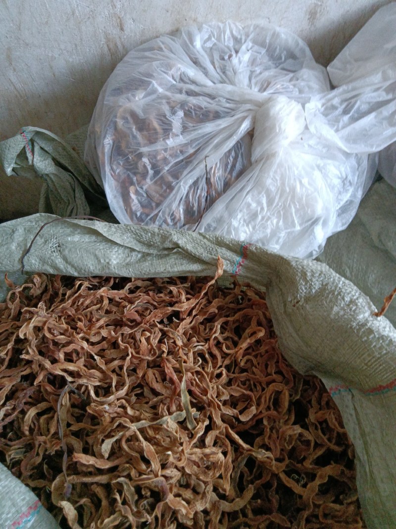 陕西，洋县干四季豆，味道纯正，口感筋道，颜色筋黄