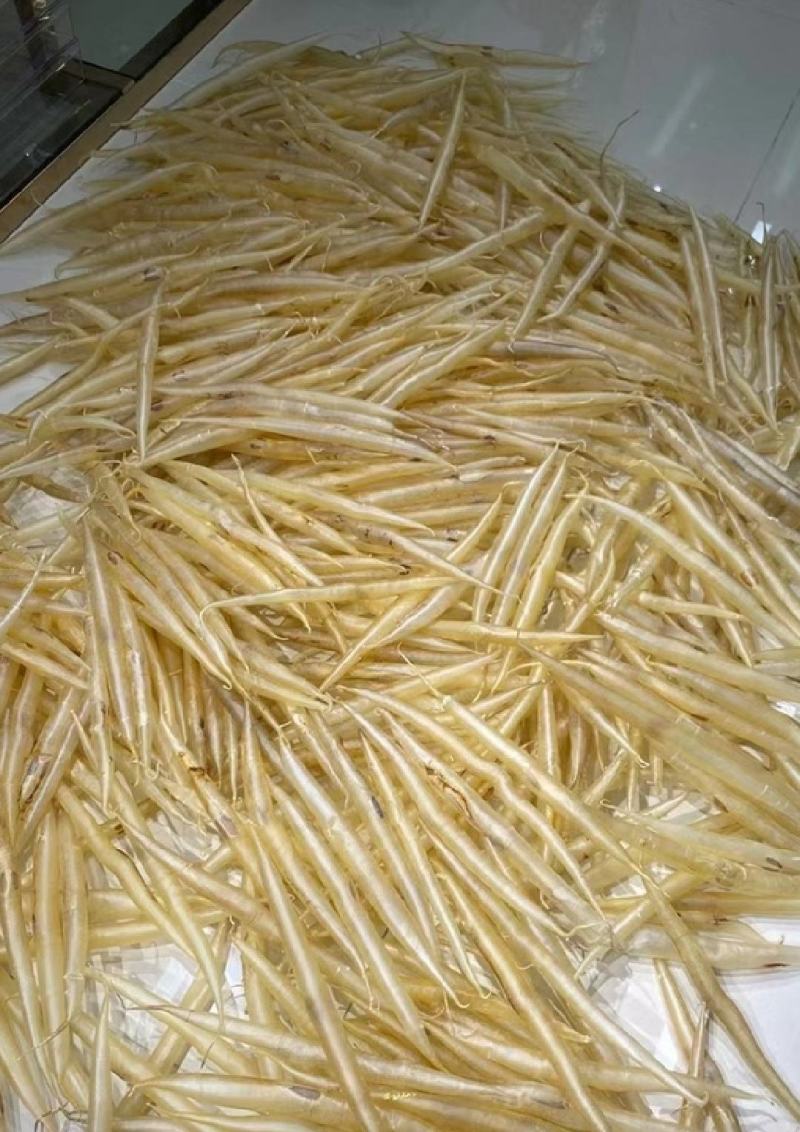 鳗鱼胶