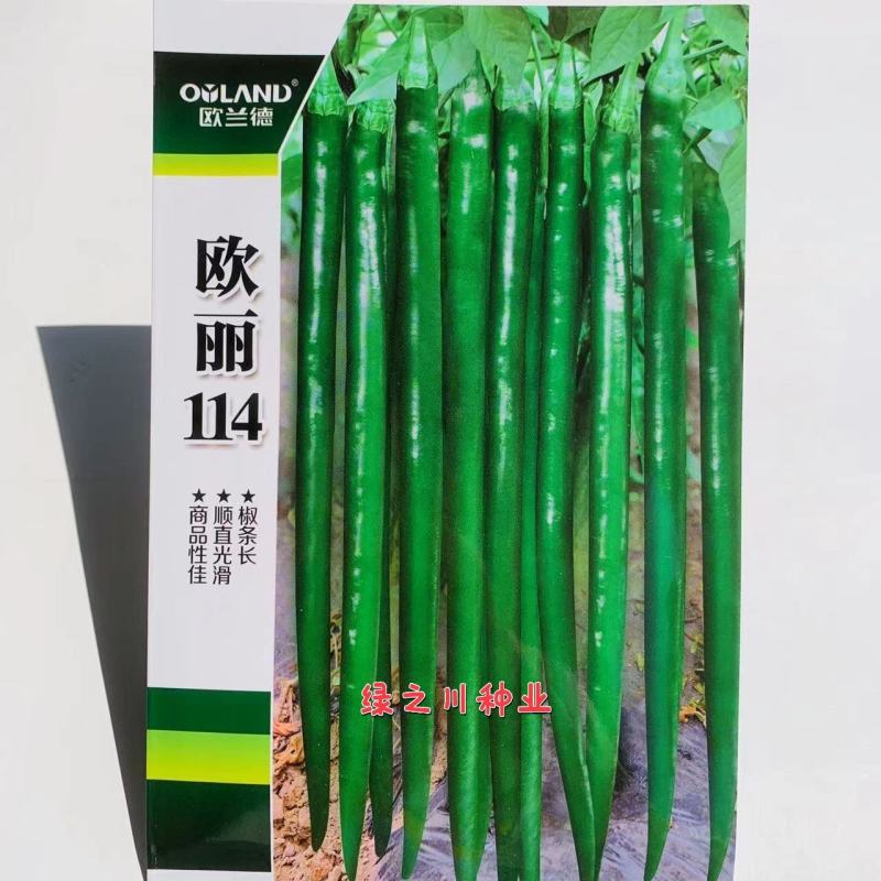 欧兰德欧丽114线椒种子深绿皮长线椒种子皮薄味辣细长