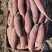 龙薯大量上市产地直发对接商超市场货源充足欢迎考察合作