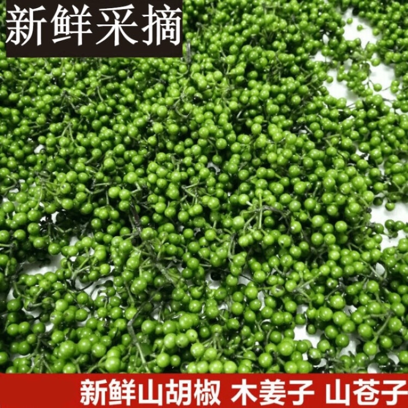 山苍子