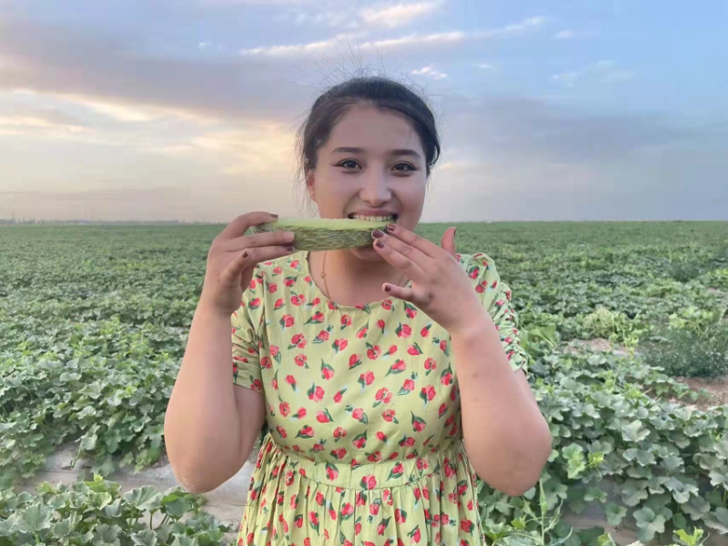新疆喀什地区唐王古瓜绿皮绿瓤好吃不上火