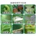 农用10%虱螨脲悬浮剂甘蓝甜菜夜蛾杀虫剂防黑皮果杀虫杀卵