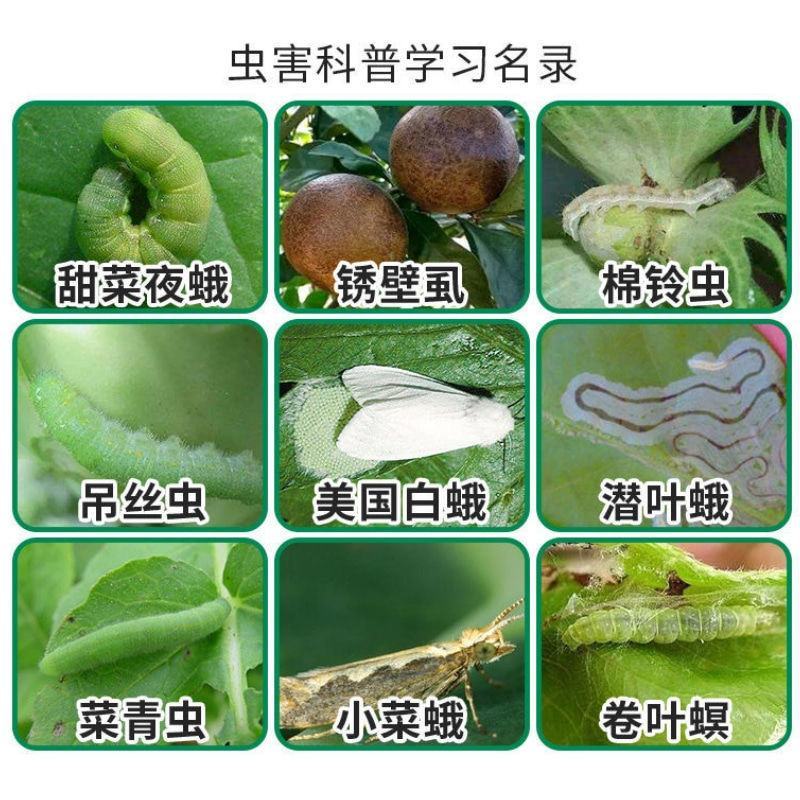 农用10%虱螨脲悬浮剂甘蓝甜菜夜蛾杀虫剂防黑皮果杀虫杀卵