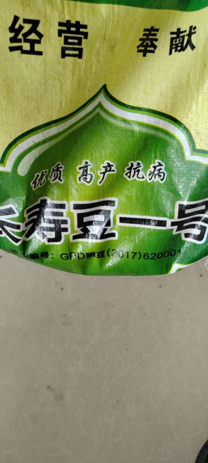 长寿仁豌豆种子（食鲜荚）甜脆豌种子高架豌豆种子长寿人豌豆