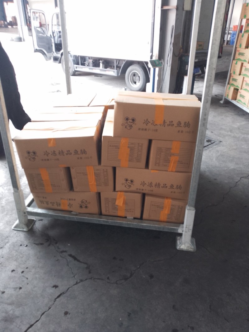 鮰鱼腩肉质鲜美质优价廉老板们的赚钱神器欢迎询价