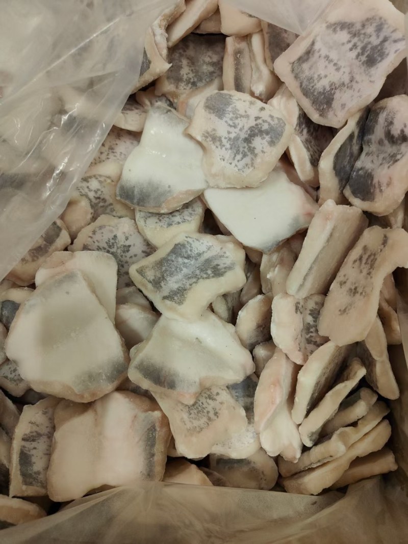 鮰鱼腩肉质鲜美质优价廉老板们的赚钱神器欢迎询价