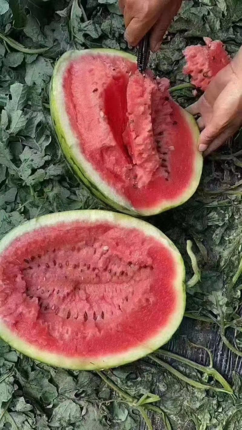 西瓜