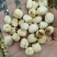 批发莲子500克手剥莲子磨皮莲子莲子去心红莲子白莲子