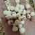 批发莲子500克手剥莲子磨皮莲子莲子去心红莲子白莲子