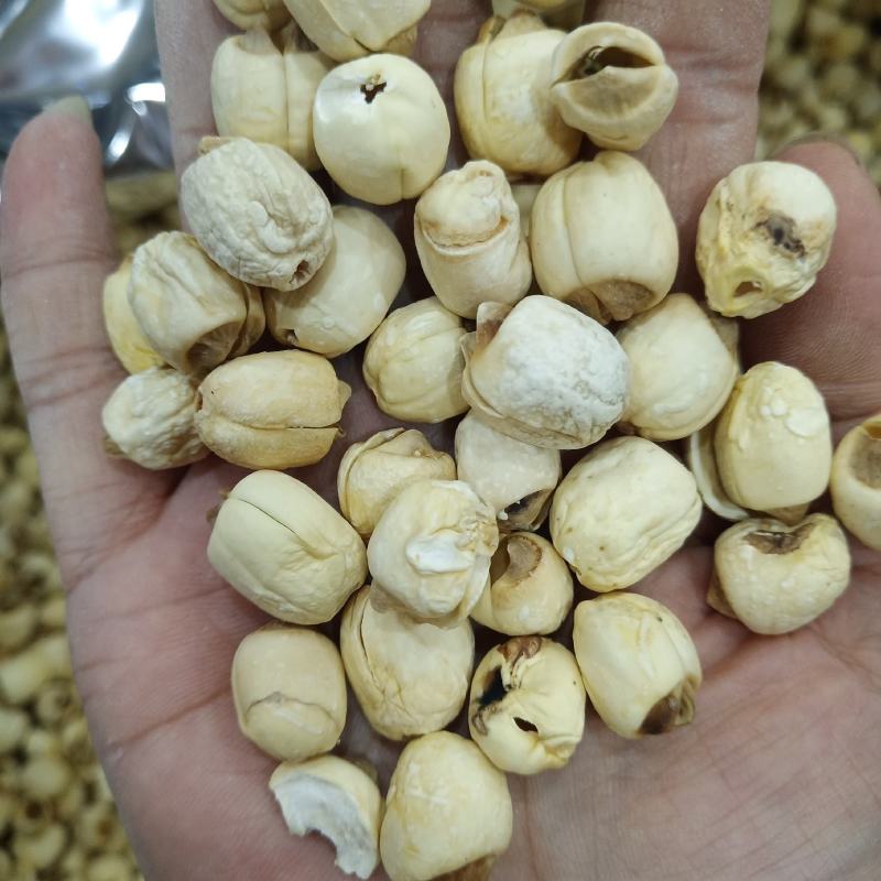 批发莲子500克手剥莲子磨皮莲子莲子去心红莲子白莲子