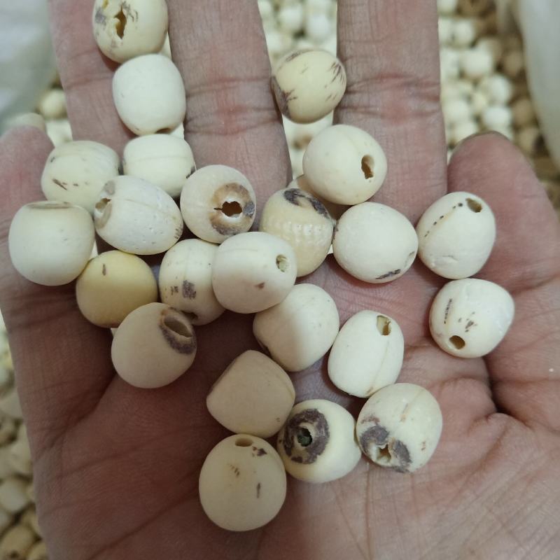 批发莲子500克手剥莲子磨皮莲子莲子去心红莲子白莲子