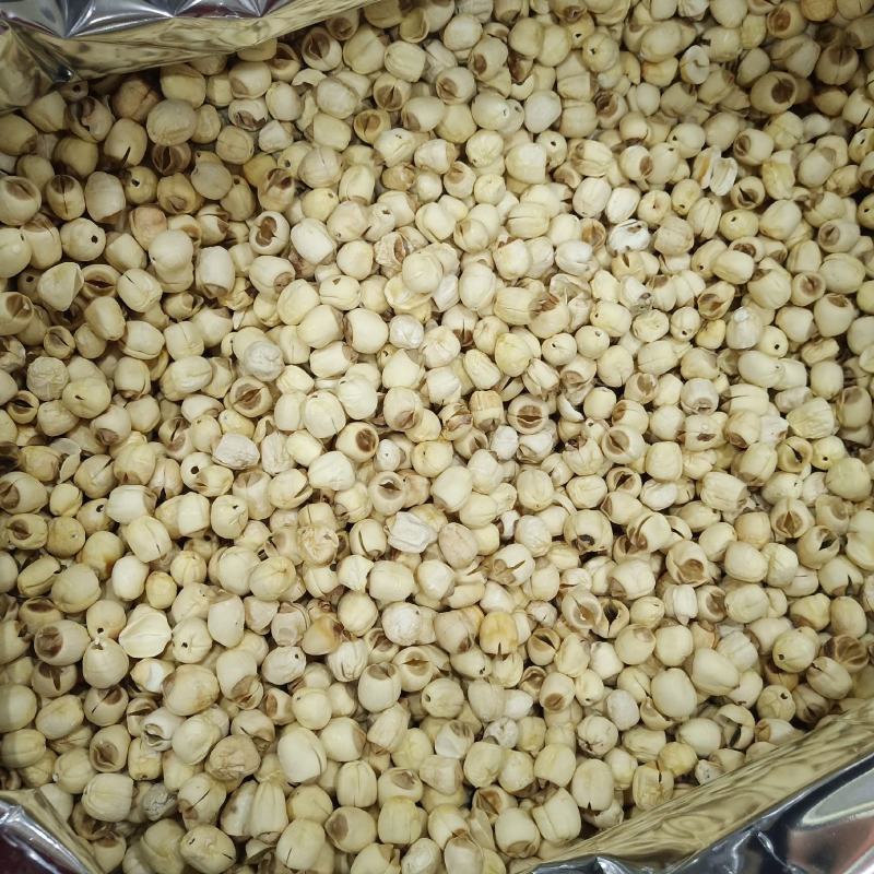 批发莲子500克手剥莲子磨皮莲子莲子去心红莲子白莲子
