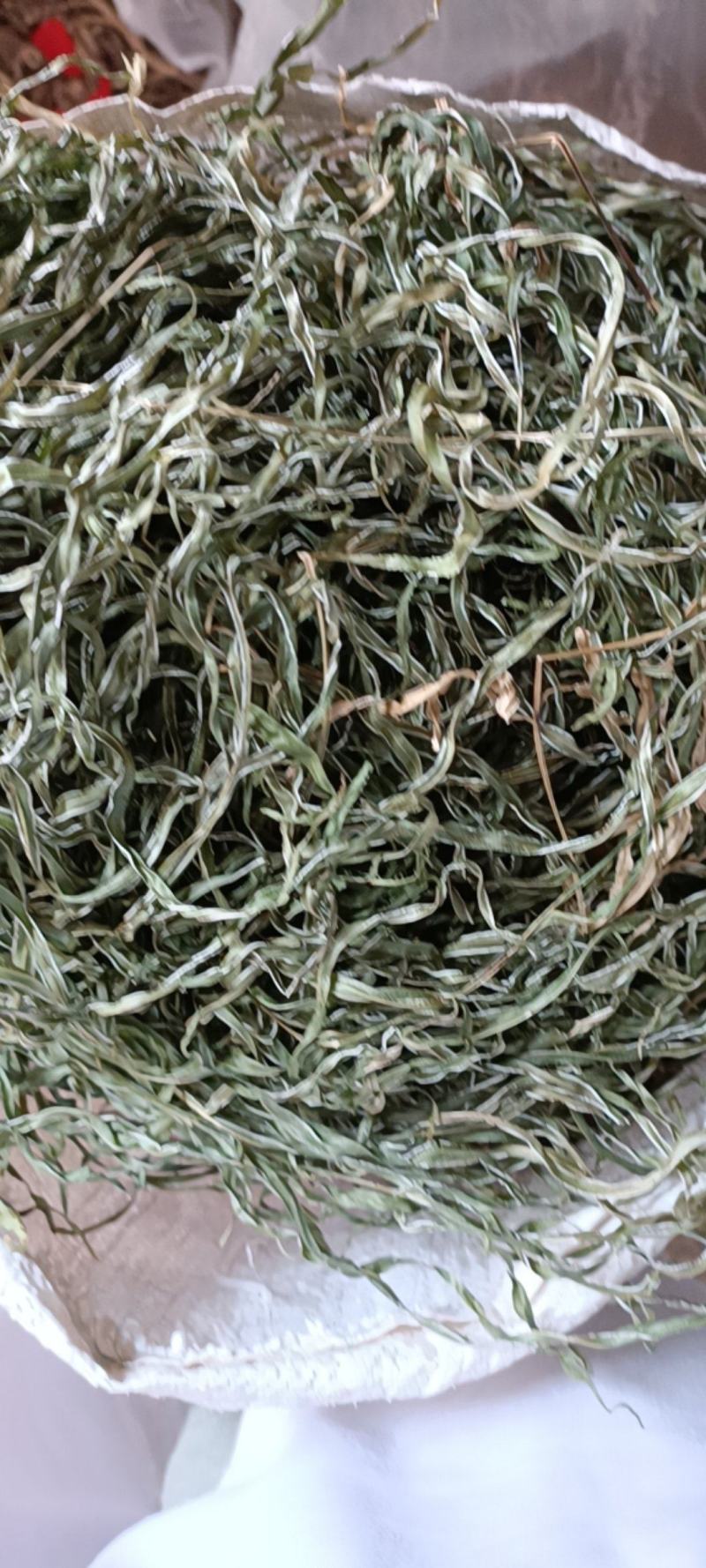 凤尾草井边栏新货自然晒干无硫熏批发零售无根