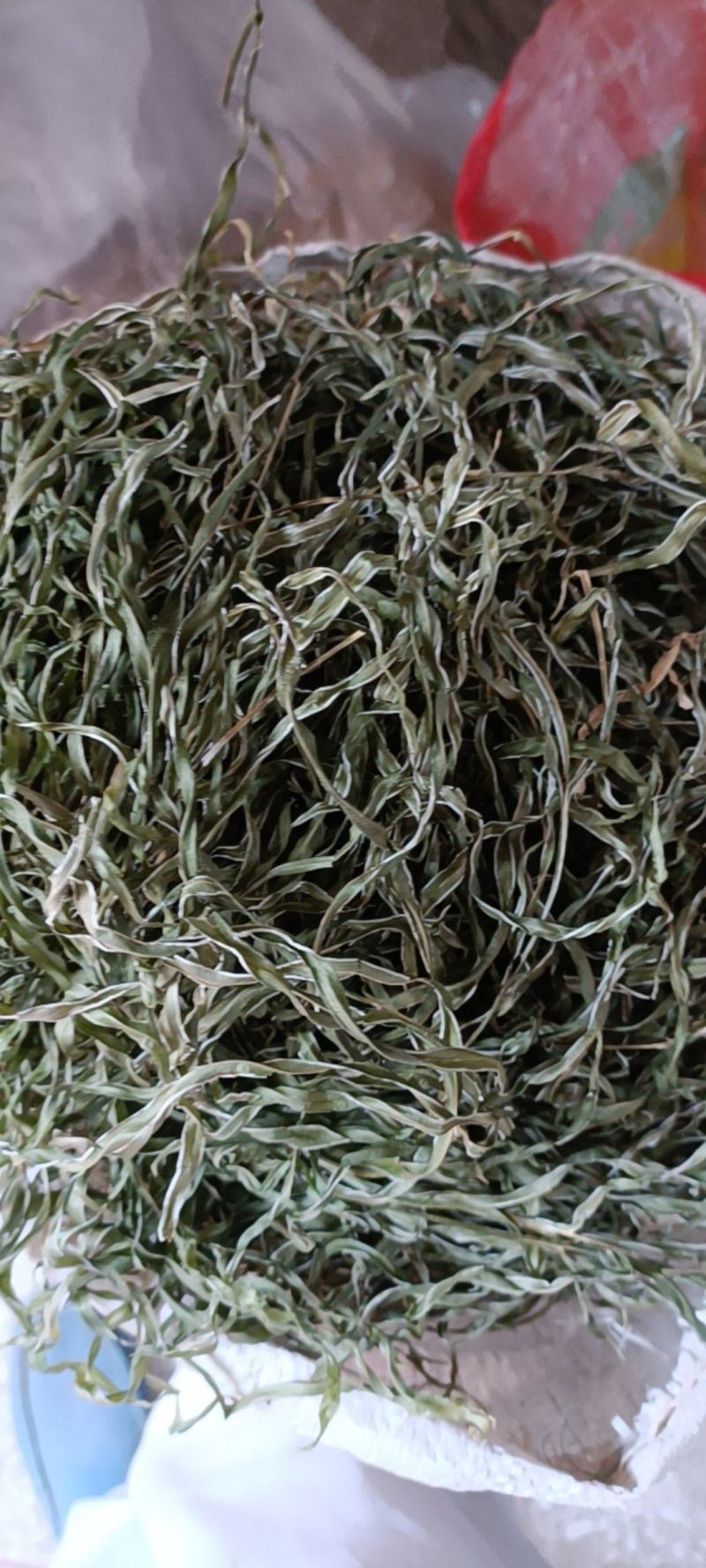 凤尾草井边栏新货自然晒干无硫熏批发零售无根