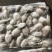 新鲜墨鱼圆目小墨鱼墨鱼仔马来西亚墨鱼