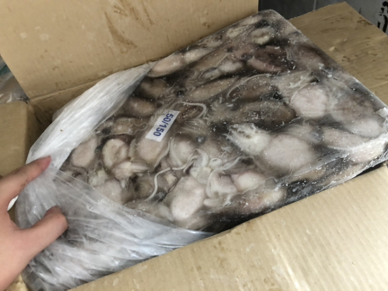 新鲜墨鱼圆目小墨鱼墨鱼仔马来西亚墨鱼
