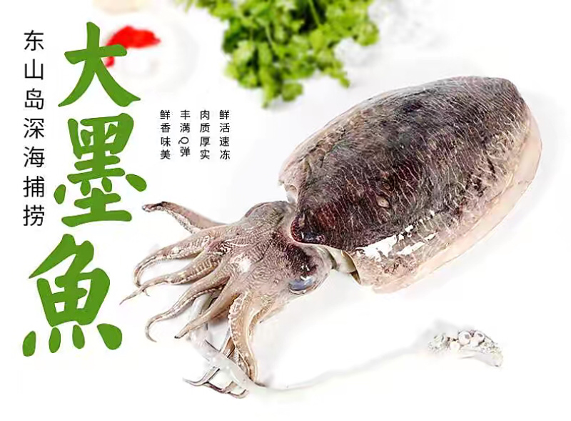 也门墨鱼大墨鱼新鲜度高品相好顺顺顺顺顺顺顺顺顺