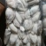 也门墨鱼大墨鱼新鲜度高品相好顺顺顺顺顺顺顺顺顺