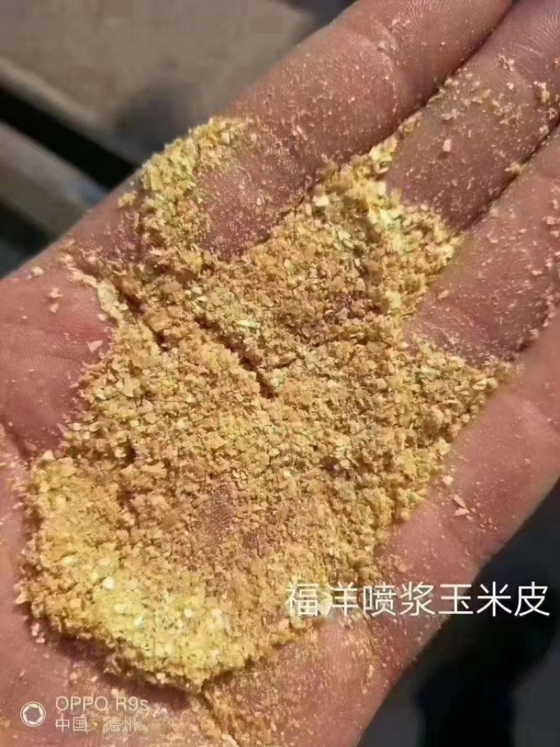 喷浆玉米皮一手货源产地直销质量保证欢迎老板看货