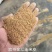 喷浆玉米皮一手货源产地直销质量保证欢迎老板看货