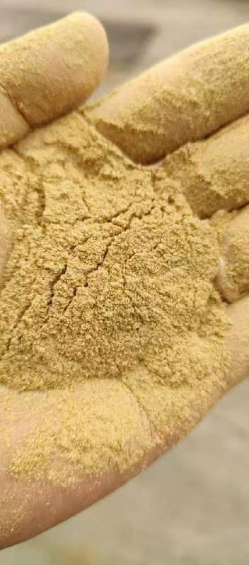大豆胚芽粉部分代替豆粕一手货源产地直发质量保证支持看货