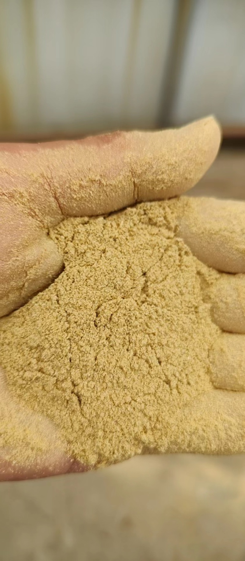 大豆胚芽粉部分代替豆粕一手货源产地直发质量保证支持看货