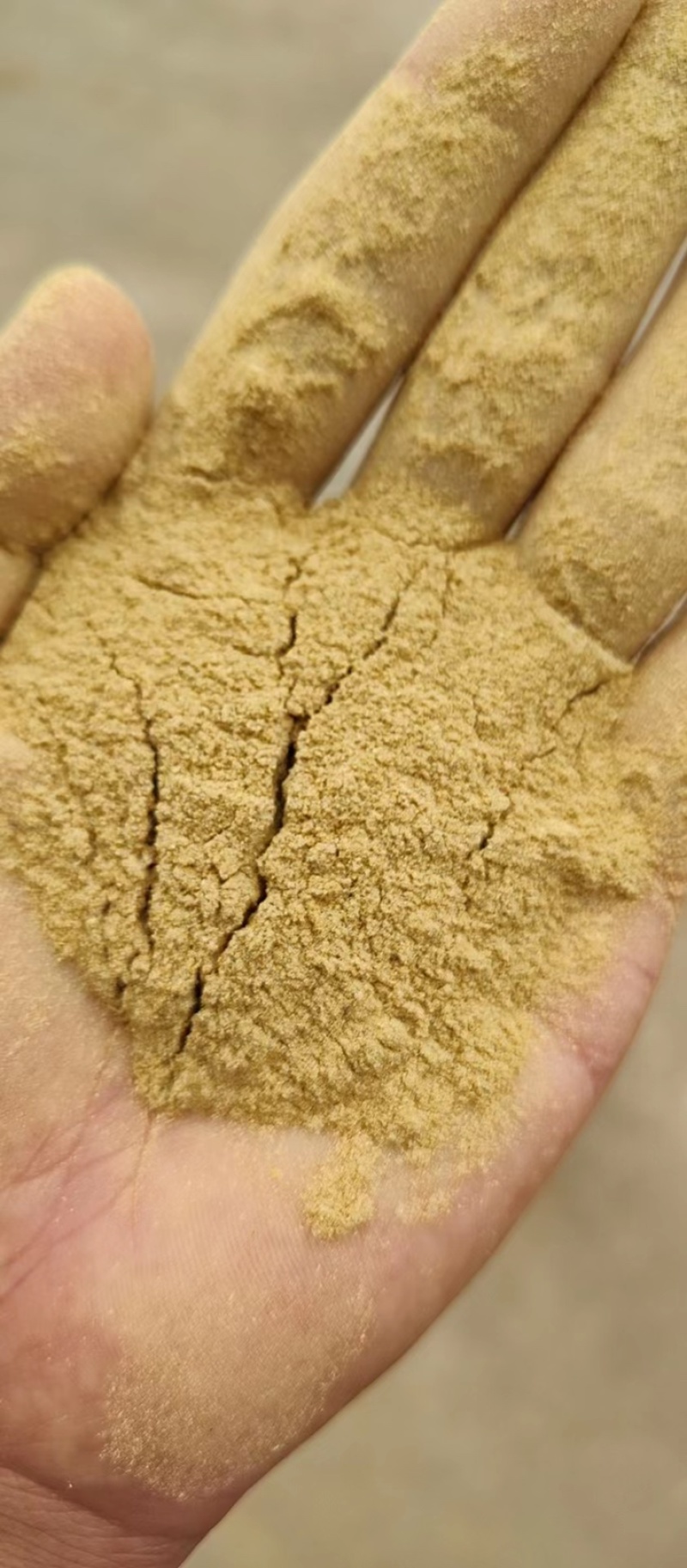 大豆胚芽粉部分代替豆粕一手货源产地直发质量保证支持看货