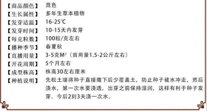 小雏菊种子易活四季开花盆栽阳台绿植物种花室内阳台乒乓菊花