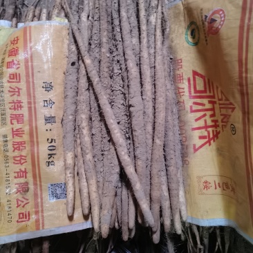 【牛】小白嘴山药整车批发河北现发对接全国品质保障