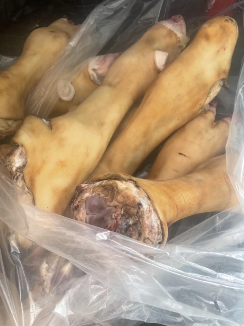 源头厂家直销，国产鲁西黄牛精品公牛火烧毛牛蹄、也可根据要巨片