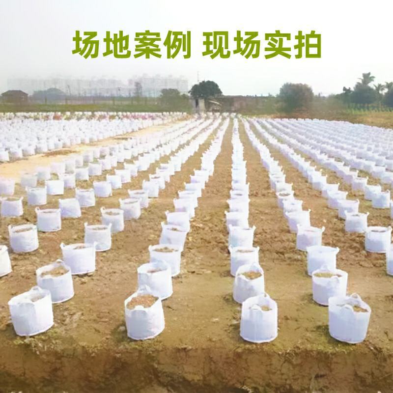 美植袋种植袋加厚植树袋无纺布加厚育苗袋规格齐全支持定做