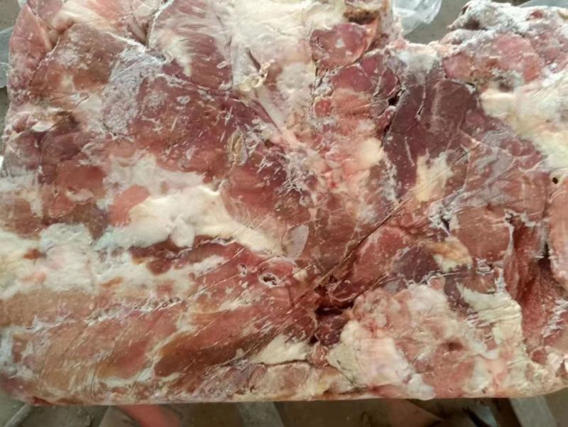 肥猪2.4号肉现货厂家发货冷冻副猪产品