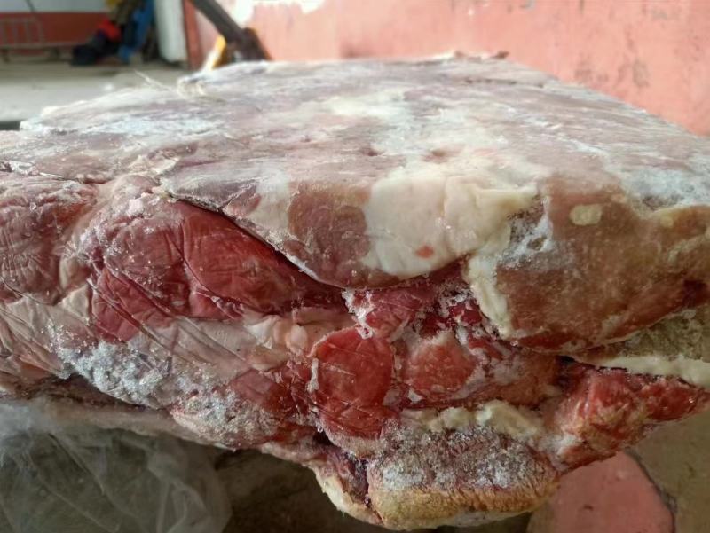肥猪2.4号肉现货厂家发货冷冻副猪产品