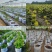 美植袋批发种植袋加厚植树袋无纺布加厚育苗袋支持定做