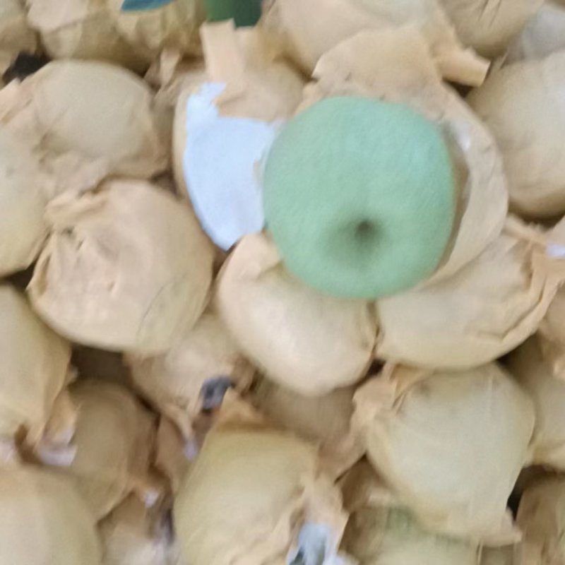 翠玉纸代梨六两以上大量上市，欢迎全国各地的客户前来采购。