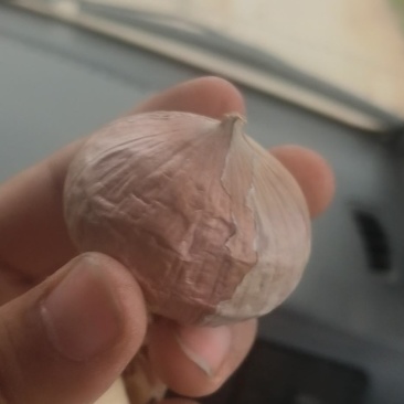 独头蒜各种规格大理独头蒜，东北独头蒜