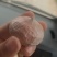 独头蒜各种规格大理独头蒜，东北独头蒜