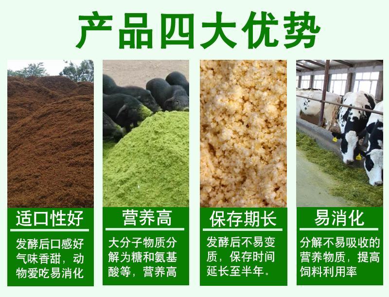 益富源粗饲料发酵剂发酵粉发酵豆渣酒糟粗饲料喂猪牛羊