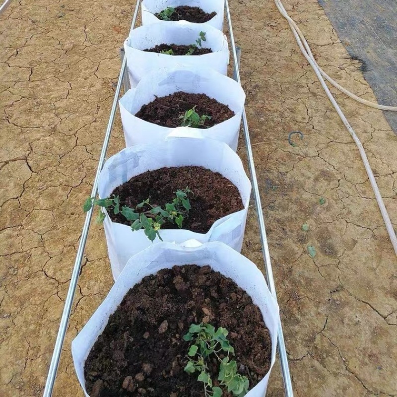 美值袋植树袋加厚植树袋无纺布加厚育苗袋支持定做