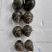 大中小精品田螺！量大价优鲜活湖北直发螺蛳各种规格