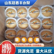 山东丰水梨秋月梨供应超市电商一件代发社区团购出口加工