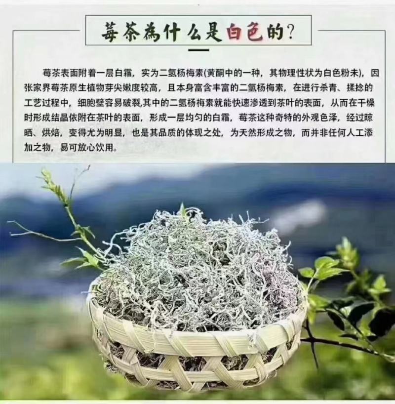 张家界牙尖莓茶，碎茶，野生莓茶