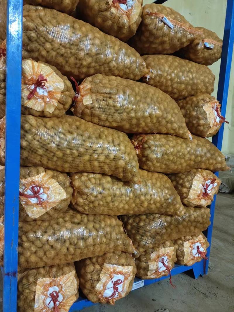 8钱—1.2两精品小土豆，黄皮黄心