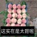 来啦来啦！超甜口的桃子来啦！口感好，价格低，欢迎您的到来
