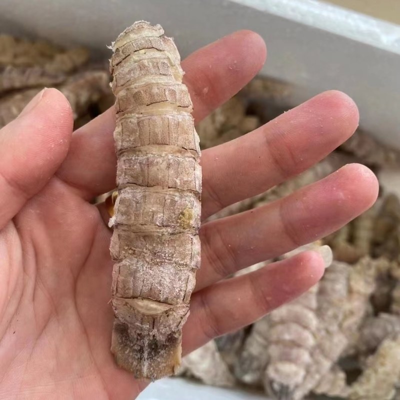 虾爬子。皮皮虾