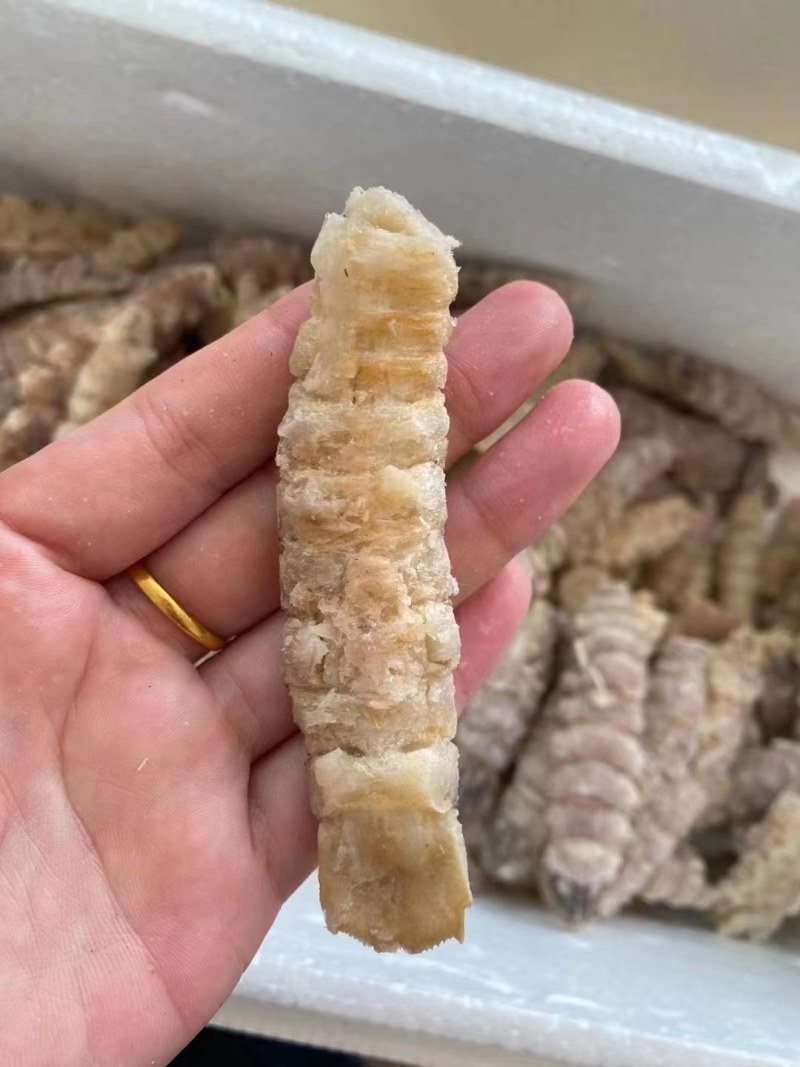 虾爬子。皮皮虾