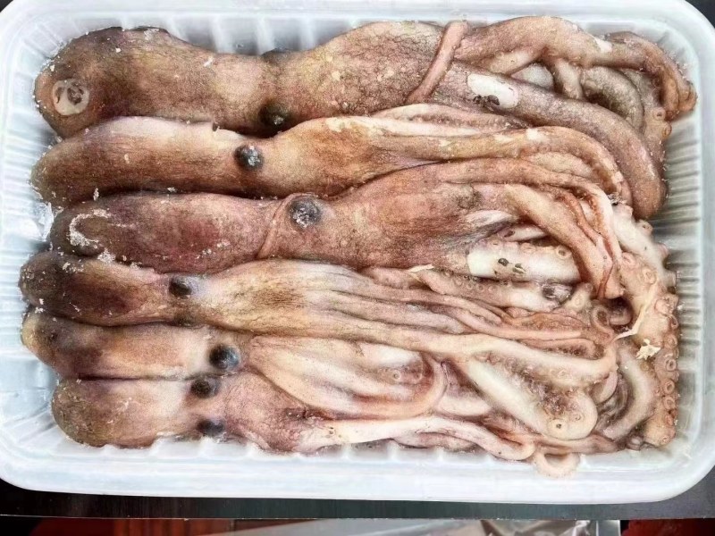 长腿八爪鱼，短腿八爪鱼，乌贼