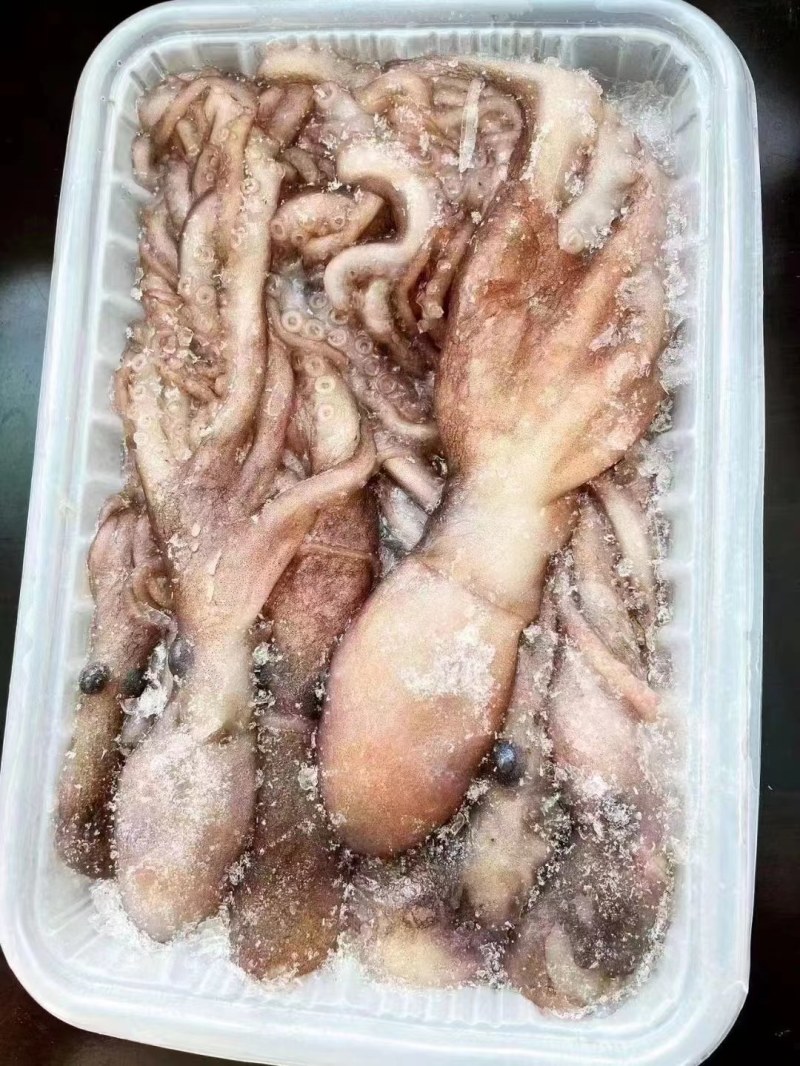 长腿八爪鱼，短腿八爪鱼，乌贼